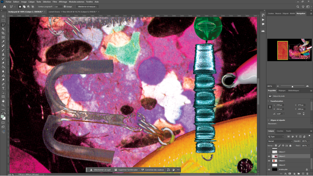 screencap d'un collage digital en cours de réalisation sur photoshop. Il y a un masque couvert de pétales roses et au premier plan des outils de pêche difficiles à identifier. L'image est très agrandie.